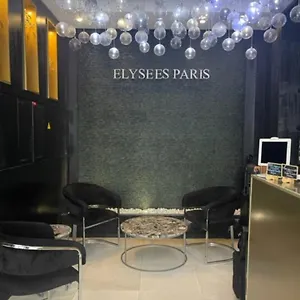 Hotel Elysees